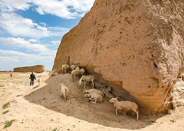 Damaged Shandan Great Wall, Zhangye, Gansu